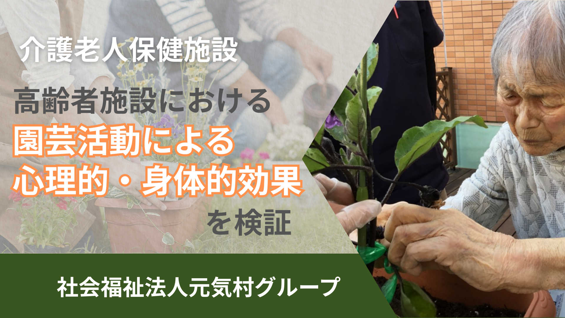 元気村グループ、介護老人施設で園芸活動による改善効果を実感