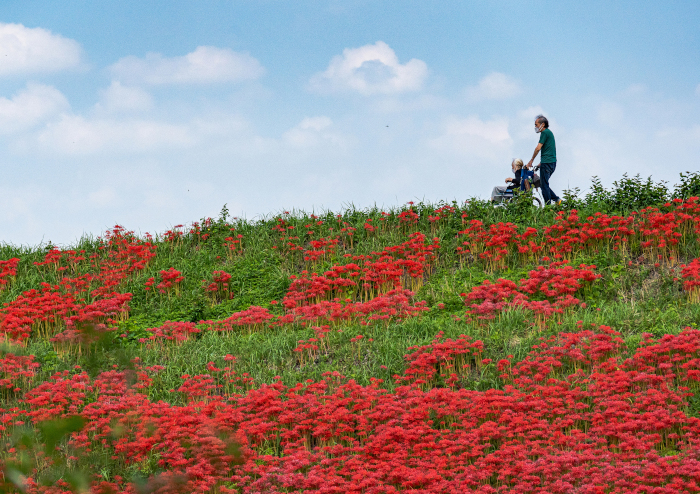 介護の未来を変革するプロダクト・ビジネス・クリエイティブを表彰「KAiGO DESIGN AWARD 2026」